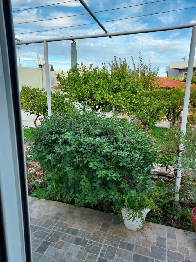 Anastasia'S Garden House Ialysos (Rhodes) Exterior foto