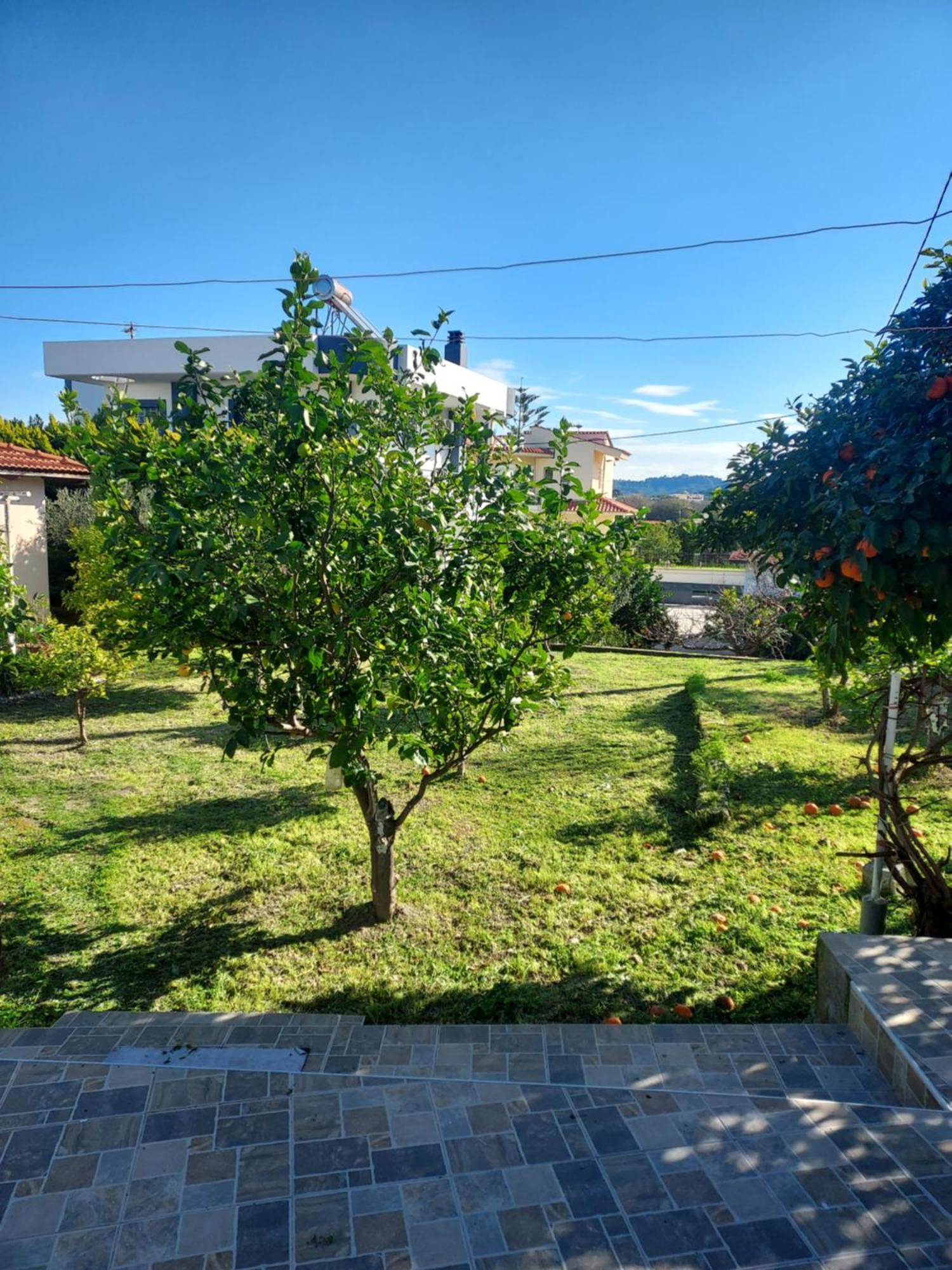 Anastasia'S Garden House Ialysos (Rhodes) Exterior foto